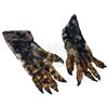 Image 5 : Hyenas - Hyena Costume