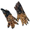 Image 6 : Hyenas - Hyena Costume
