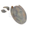 Image 3 : Jurassic Park - Velociraptor Hatched Egg