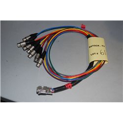 (1)  4'  AES/EBU 25 Pin Dsub to 8 Female  XLR Cable