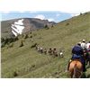 Image 2 : 4-DAY HORSEBACK TRIP FOR 2 PEOPLE IN THE ALBERTA ROCKIES