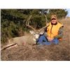 Image 2 : NEBRASKA GAME AND PARKS COMMISSION STATEWIDE COMBINATION PERMIT FOR ANTELOPE, DEER AND TWO TURKEYS