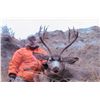 Image 10 : 5-DAY DEER AND 2-DAY ANTELOPE HUNT IN MONTANA FOR 1 HUNTER
