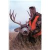 Image 11 : 5-DAY DEER AND 2-DAY ANTELOPE HUNT IN MONTANA FOR 1 HUNTER
