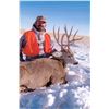 Image 12 : 5-DAY DEER AND 2-DAY ANTELOPE HUNT IN MONTANA FOR 1 HUNTER