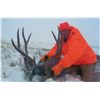 Image 13 : 5-DAY DEER AND 2-DAY ANTELOPE HUNT IN MONTANA FOR 1 HUNTER