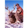 Image 7 : 5-DAY DEER AND 2-DAY ANTELOPE HUNT IN MONTANA FOR 1 HUNTER