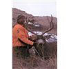 Image 8 : 5-DAY DEER AND 2-DAY ANTELOPE HUNT IN MONTANA FOR 1 HUNTER