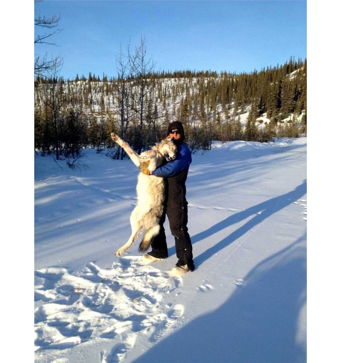 7-DAY WINTER PREDATOR HUNT IN ALASKA FOR 1 HUNTER - WSF World Headquarters