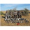 Image 2 : 3-DAY GOOSE & DUCK HUNT IN ALBERTA CANADA FOR 2 HUNTERS