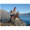 Image 2 : 5-DAY RED STAG HUNT (UP TO 330 SCI) IN NEW ZEALAND FOR 1 HUNTER AND 1 NON-HUNTING COMPANION