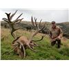 Image 4 : 5-DAY RED STAG HUNT (UP TO 330 SCI) IN NEW ZEALAND FOR 1 HUNTER AND 1 NON-HUNTING COMPANION