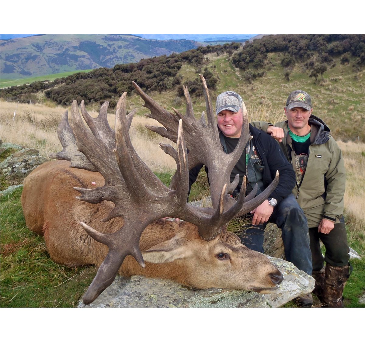5-DAY RED STAG HUNT (UP TO 330 SCI) IN NEW ZEALAND FOR 1 HUNTER AND 1 ...