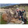 Image 5 : 5-DAY RED STAG HUNT (UP TO 330 SCI) IN NEW ZEALAND FOR 1 HUNTER AND 1 NON-HUNTING COMPANION