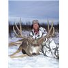 Image 5 : ALBERTA MINISTER’S SPECIAL MULE DEER PERMIT