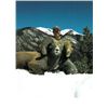 Image 9 : TAOS PUEBLO ROCKY MOUNTAIN BIGHORN SHEEP PERMITS