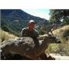 Image 2 : 5-DAY ARIZONA COUES DEER HUNT FOR 2 WITH DIAMOND OUTFITTERS