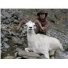 Image 2 : 12-DAY DALL’S SHEEP HUNT FOR ONE YOUTH HUNTER (10-18 years old) AND ONE NON-HUNTING ADULT COMPANION