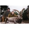 Image 2 : 4-DAY TROPHY SOUTHEASTERN IBEX HUNT IN SPAIN FOR 1 HUNTER