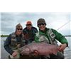 Image 7 : 6-DAY FISHING FOR 2 GUESTS AT STONEWOOD LODGE ON BEAUTIFUL LAKE CLARK, ALASKA