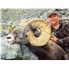 Image 9 : TAOS PUEBLO ROCKY MOUNTAIN BIGHORN SHEEP PERMITS