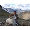 Image 12 : 12-DAY DALL’S SHEEP HUNT IN THE NORTHWEST TERRITORIES FOR 1 HUNTER & 1 NON-HUNTER WITH MOUNTAIN CARI
