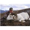 Image 4 : 12-DAY DALL’S SHEEP HUNT IN THE NORTHWEST TERRITORIES FOR 1 HUNTER & 1 NON-HUNTER WITH MOUNTAIN CARI