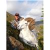 Image 6 : 12-DAY DALL’S SHEEP HUNT IN THE NORTHWEST TERRITORIES FOR 1 HUNTER & 1 NON-HUNTER WITH MOUNTAIN CARI