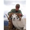 Image 8 : 12-DAY DALL’S SHEEP HUNT IN THE NORTHWEST TERRITORIES FOR 1 HUNTER & 1 NON-HUNTER WITH MOUNTAIN CARI