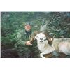 Image 2 : ALASKA CHUGACH DALL’S SHEEP PERMIT