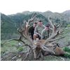 Image 2 : 5-DAY NEW ZEALAND RED STAG & FERAL HOG HUNT FOR 2 HUNTERS