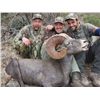 Image 10 : BAJA, CALIFORNIA SUR, MEXICO, DESERT BIGHORN SHEEP WITH TY MILLER’S EL FUERTE OUTFITTERS & FILM CREW