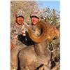 Image 2 : BAJA, CALIFORNIA SUR, MEXICO, DESERT BIGHORN SHEEP WITH TY MILLER’S EL FUERTE OUTFITTERS & FILM CREW
