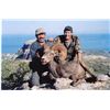 Image 3 : BAJA, CALIFORNIA SUR, MEXICO, DESERT BIGHORN SHEEP WITH TY MILLER’S EL FUERTE OUTFITTERS & FILM CREW