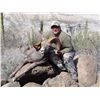 Image 7 : BAJA, CALIFORNIA SUR, MEXICO, DESERT BIGHORN SHEEP WITH TY MILLER’S EL FUERTE OUTFITTERS & FILM CREW