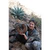 Image 8 : BAJA, CALIFORNIA SUR, MEXICO, DESERT BIGHORN SHEEP WITH TY MILLER’S EL FUERTE OUTFITTERS & FILM CREW