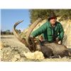 Image 8 : 12-DAY FANTASTIC 4 SPANISH IBEX HUNT FOR ONE HUNTER & ONE NON-HUNTER