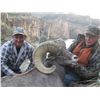 Image 12 : ARIZONA DESERT BIGHORN SHEEP PERMIT