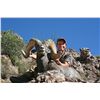 Image 2 : ARIZONA DESERT BIGHORN SHEEP PERMIT