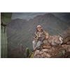 Image 3 : ARIZONA DESERT BIGHORN SHEEP PERMIT