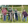 Image 3 : 5-DAY ALASKAN FISHING TRIP AND WILDLIFE VIEWING FOR 2 PEOPLE