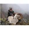 Image 4 : 12-DAY DALL’S SHEEP HUNT FOR 1 HUNTER