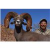 Image 16 : TIBURON ISLAND DESERT BIGHORN SHEEP PERMIT