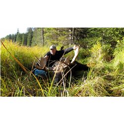 7-DAY MOOSE HUNT FOR 1 HUNTER