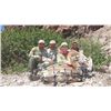 Image 2 : CARMEN ISLAND, MEXICO, DESERT BIGHORN SHEEP PERMIT