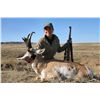 Image 2 : 2013 WYOMING GAME & FISH COMMISSIONER’S ELK/DEER/PRONGHORN LICENSES