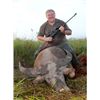 Image 2 : 4-DAY ARCHERY WATER BUFFALO COMBO HUNT FOR 1 HUNTER