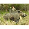 Image 4 : 4-DAY ARCHERY WATER BUFFALO COMBO HUNT FOR 1 HUNTER