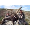 Image 2 : 4-DAY TROPHY BECEITE IBEX HUNT IN SPAIN FOR 1 HUNTER