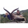 Image 4 : 4-DAY TROPHY BECEITE IBEX HUNT IN SPAIN FOR 1 HUNTER